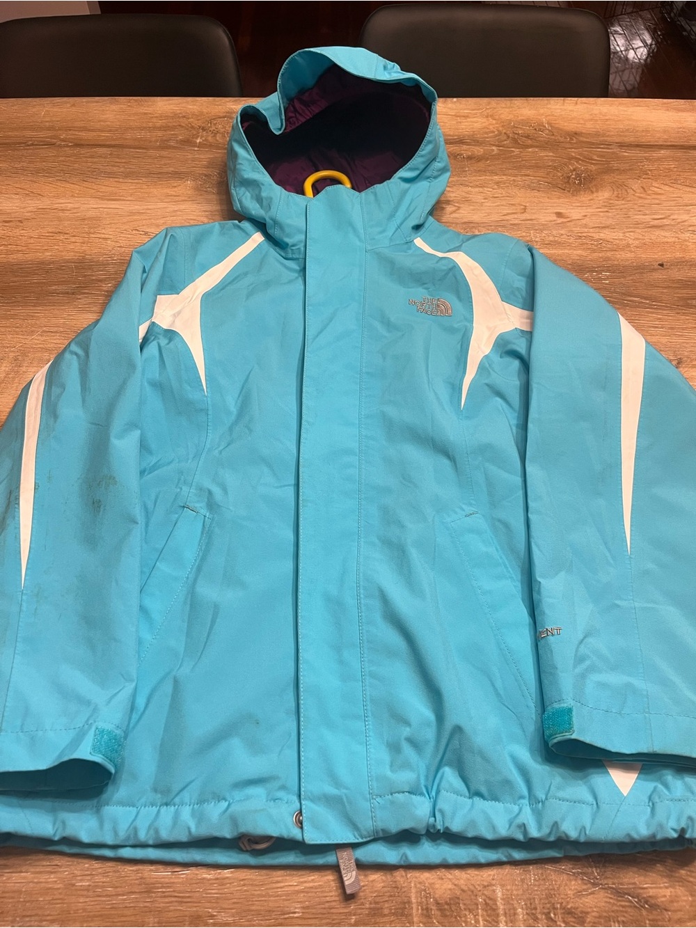 The North Face Aqua Blue Hooded Puffer Jacket with White Accents